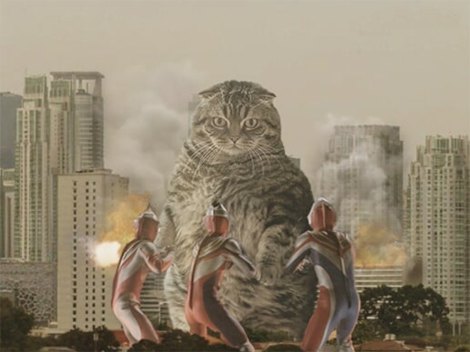 Cat Godzilla (catzilla).