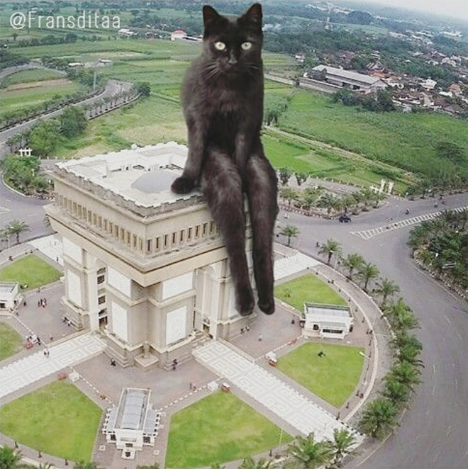 Cat Godzilla (catzilla).