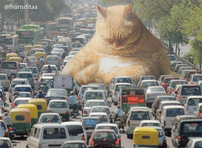 Cat Godzilla (catzilla).