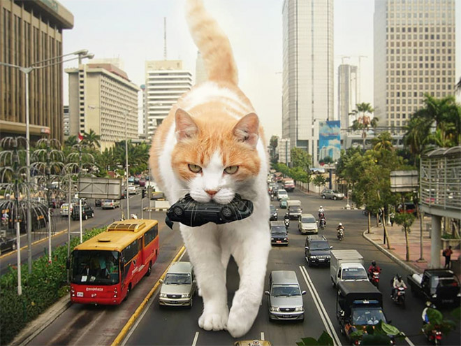 Cat Godzilla (catzilla).