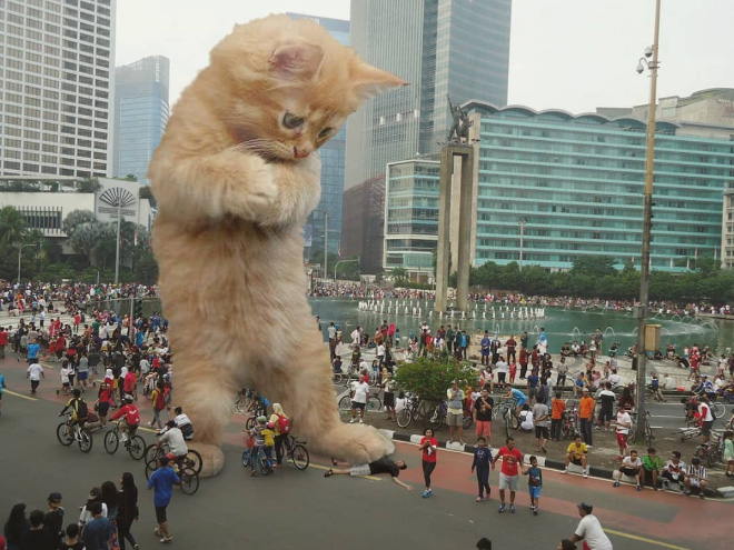 Cat Godzilla (catzilla).