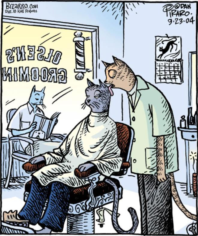 Funny cartoon by Bizarro.