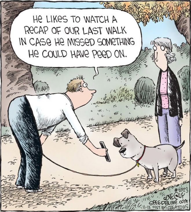 Cartoon by Dave Coverly.