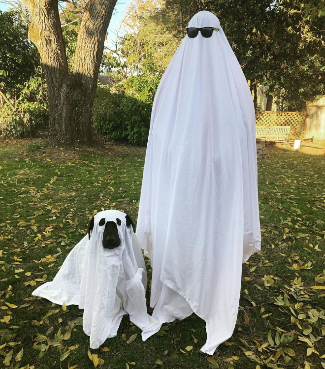 Dog ghost costume.