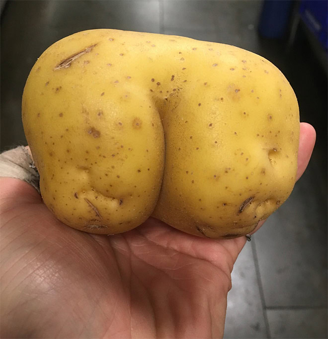 Seductive potato butt.