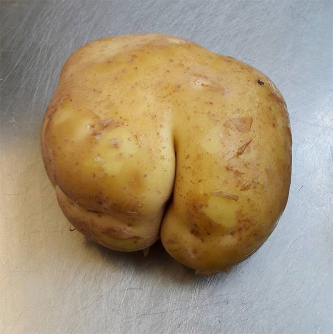 Seductive potato butt.