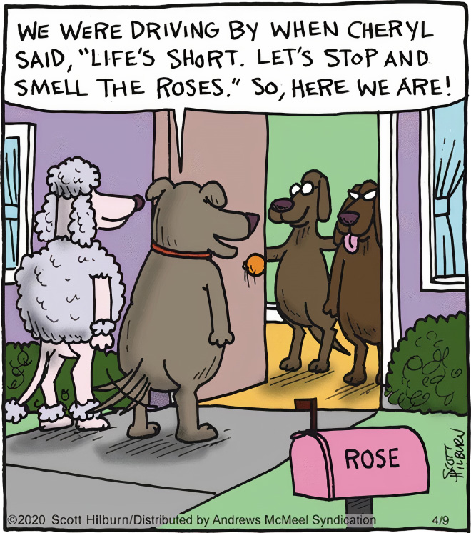 Cartoon by Scott Hilburn.