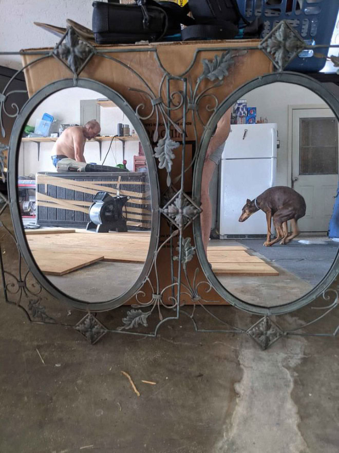 People selling mirrors online are hilarious.