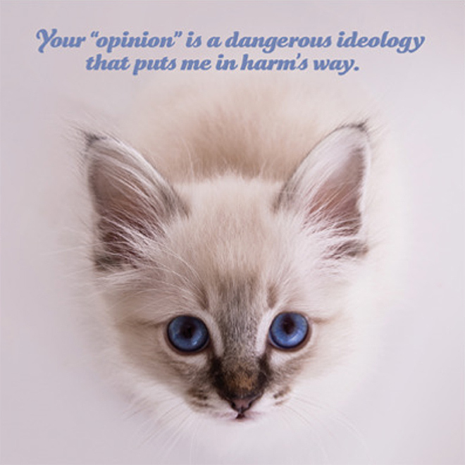 Social justice kitten has something to say to you.