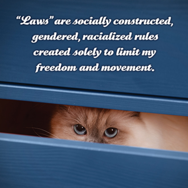 Social justice kitten has something to say to you.