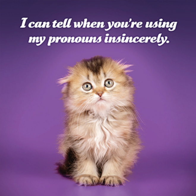 Social justice kitten has something to say to you.