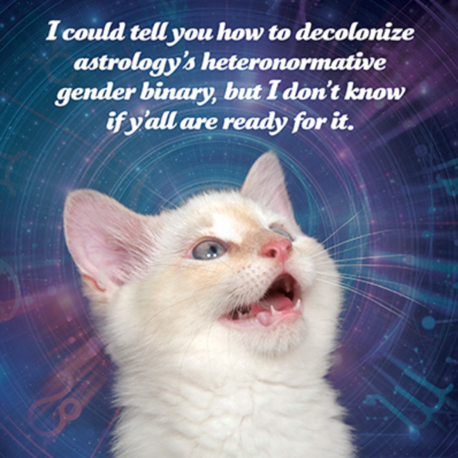 Social justice kitten has something to say to you.